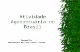 Atividade agropecuária no Brasil