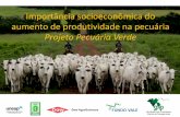 Encontro GCF Belém - Projeto Pecuária Verde