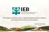 Encontro GCF Belém - Entraves para Cadeias Produtivas na Amazônia