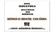 Vagner moraes história_do_brasil_colônia