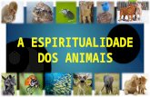 A espiritualidade dos animais...
