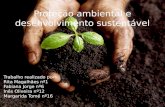 Proteção ambiental e desenvolvimento sustentável