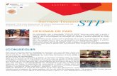 Stp newsletter 2