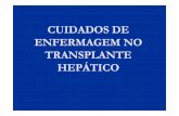 2007 cuidados de enfermagem no transplante hepático eloiza quintela