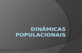 Dinâmicas populacionais