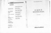 O que é sociologia  - Carlos B. Martins