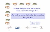 Mercado e Comercialização de Camarão de Água Doce. Dra. Margarete Mallasen - Pesquisadora Científica do Centro de Pescado Continental do Instituto de Pesca - APTA - SAA.