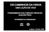 Painel1 - Cultura da Vinha – Fernando Luís Oliveira (Parque de Ilha do Pico)