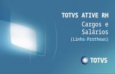 TOTVS ATIVE - RH - Cargos e Salários - Protheus