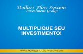 Forex brasil - DFS