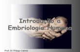 Introdução a Embriologia