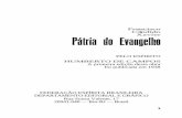 Livro brasil coração do mundo pátria do evangelho   chico xavier