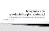 Noções de embriologia animal - 3º ANO