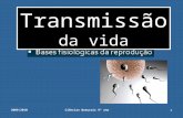 Transmissodavida 1-091111102803-phpapp02