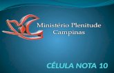 Célula Ministério Plenitude de Campinas