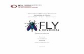 ESTRATEGIA DA MARCA - Estudo de caso marca fly london_ deise costa