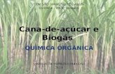 Cana-de-açúcar e biogás