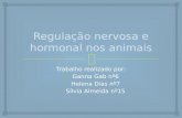 Regulação nervosa e hormonal nos animais