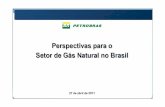 Diretora Maria das Graças Silva Foster - Perspectivas para o Setor de Gás Natural no Brasil - Apresentação para Conferência Itaú