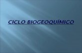 Ciclo biogeoquímico    tiago