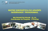 MATRIZ ENERGÉTICA DO ARARIPE