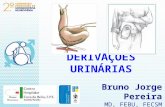34. Palestra Derivações Urinárias (2º Congresso de Urossexopatia Neurogénica 2014)