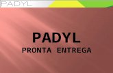 Apresentação Padyl Pronta Entrega