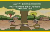 Princípios de Manejo Florestal - Cartilha do Instituto Mamirauá