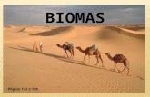 Biomas do  Mundo e do Brasil