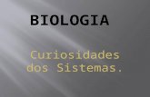 Biologia Curiosidades dos Sistemas.