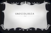 Gnosiologia 22 mp