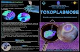 Toxoplasmose folder