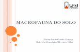Seminario micro solo_macrofauna
