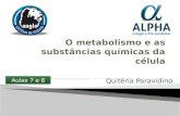 O metabolismo e as substâncias químicas da célula - 3º ANO