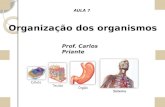 Organização dos organismos- Células
