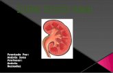 Sistema renal histologia