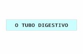 Tubo digestivo  Histologia