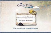 Gandia 2009 - Apresentacao OFICIAL para investidores no melhor site de relacionamento do mundo!
