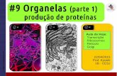 #9 Organelas: produção de proteínas - abr2015