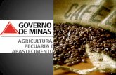 Os pequenos produtores de café e as regiões de minas gerais com carência de infraestrutura engo agro  m. sc.  níwton castro moraes assessor especial  café – seapa  mg
