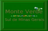 Monte Verde-MG