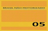 Capítulo 05- Fatores de sucesso no planejamento cicloviário da holanda–lições para o brasil