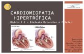 Cardiomiopatia Hipertrófica