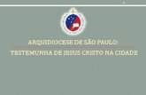 Arquidiocese de São Paulo: Testemunha de Jesus Cristo na cidade - 11º Plano de Pastoral (2012)