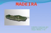 Madeira sérgio e pedro fernandes