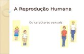 A ReproduçãO Humana