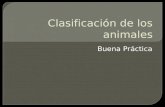 Clasificación de los animales