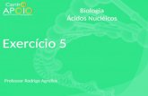 - Biologia - Exercícios Resolvidos Ácido Nucleico ( 5 )