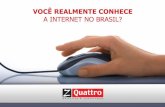 Voce Realmente Conhece a Internet no Brasil