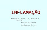 Inflama slides